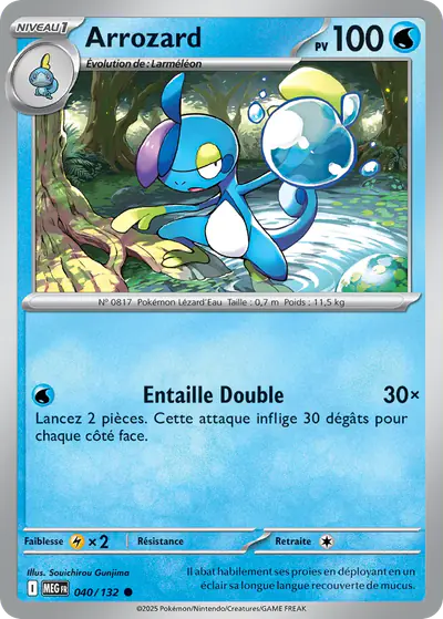 Image de la carte Pokemon Arrozard 040/132