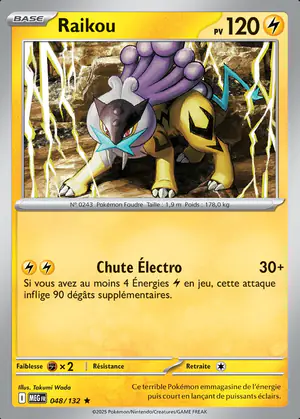 Raikou 048/132