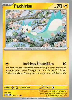 Pachirisu 051/132