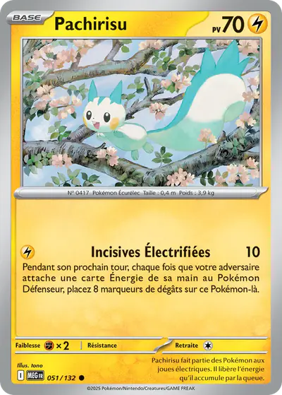Image de la carte Pokemon Pachirisu 051/132