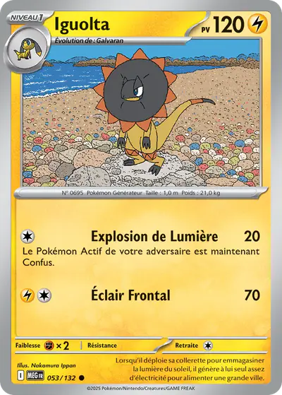 Image de la carte Pokemon Iguolta 053/132