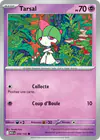 Image de la carte Tarsal 058/132