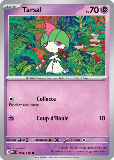Image de la carte Pokemon Tarsal 058/132