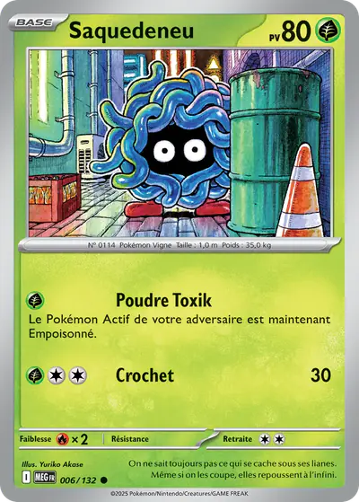 Image de la carte Pokemon Saquedeneu 006/132