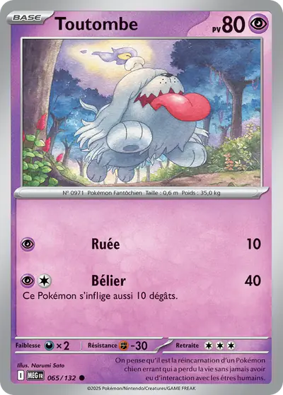Image de la carte Pokemon Toutombe 065/132