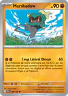 Image de la carte Marshadow 080/132