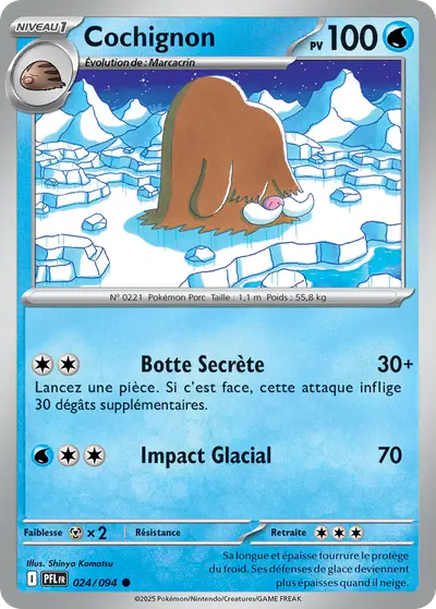 Image de la carte Pokemon Cochignon 024/94