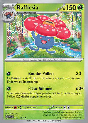 Rafflesia 003/094