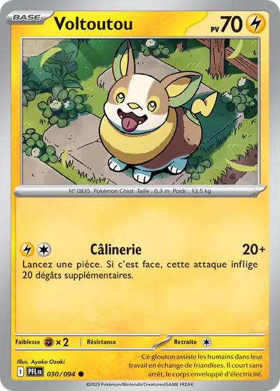 Image de la carte Pokemon Voltoutou 030/94