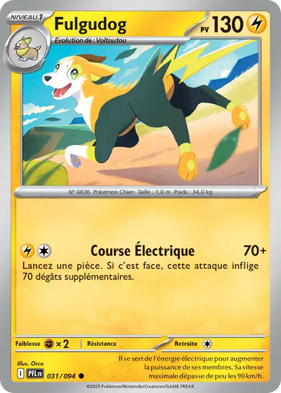 Image de la carte Pokemon Fulgudog 031/94
