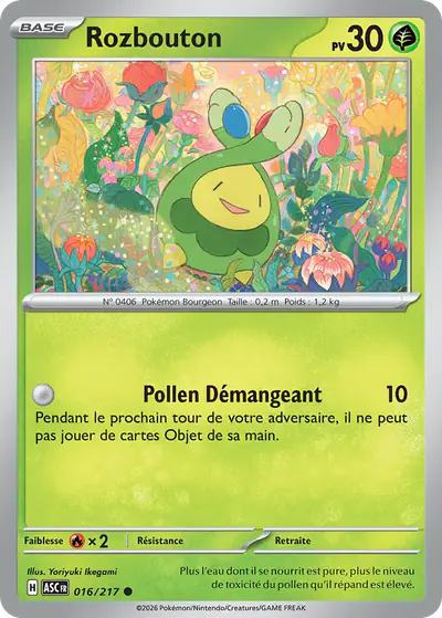 Image de la carte Pokemon Rozbouton 016/217