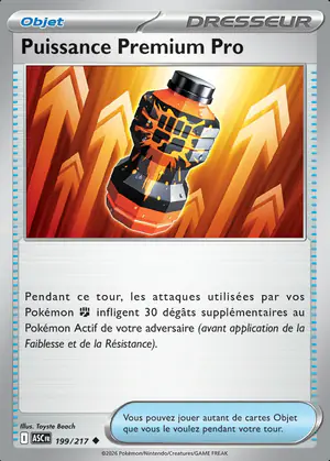 Puissance Premium Pro 199/217