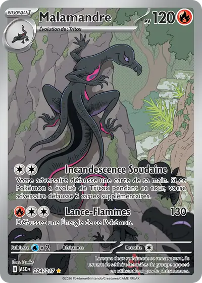 Image de la carte Pokemon Malamandre 224/217