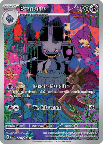 Image de la carte Pokemon Branette 234/217
