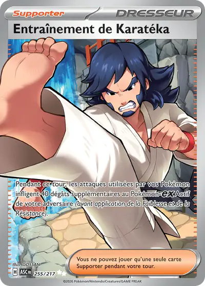 Image de la carte Pokemon Entraînement de Karatéka 255/217