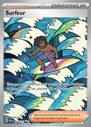 Surfeur 293/217