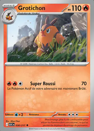 Grotichon 030/217