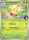 Image de la carte Boustiflor d'Erika 005/217