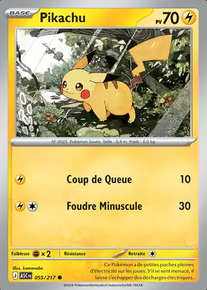 Pikachu 055/217