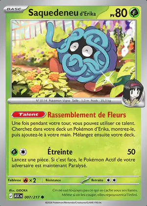 Saquedeneu d'Erika 007/217