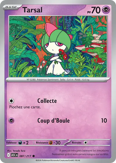 Image de la carte Pokemon Tarsal 087/217
