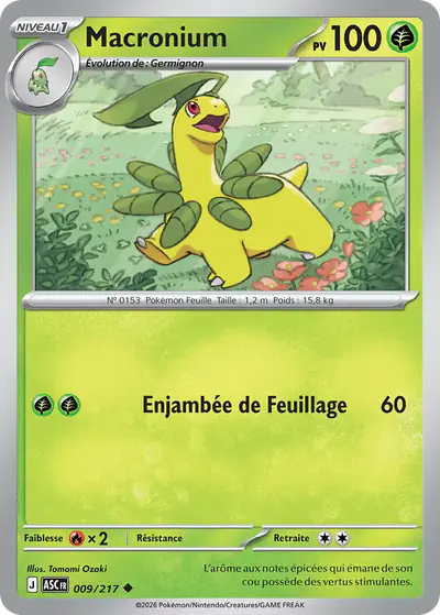Image de la carte Pokemon Macronium 009/217