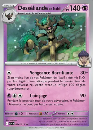 Dess&eacute;liande de Nabil 096/217
