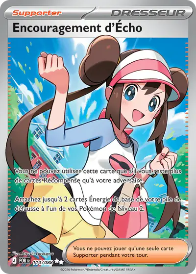 Image de la carte Pokemon Encouragement d'Écho 114/88