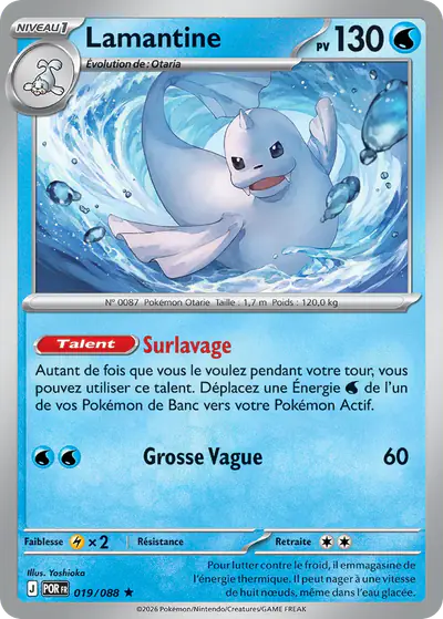 Image de la carte Pokemon Lamantine 019/88