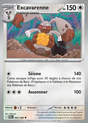Excavarenne 065/088