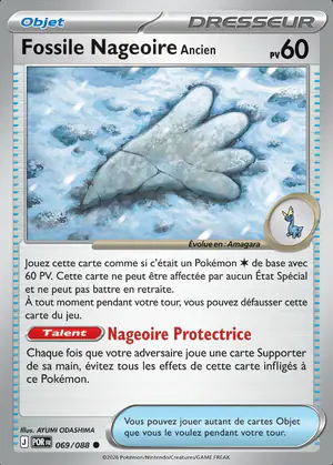 Fossile Nageoire Ancien 069/088