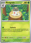 Image de la carte Pérégrain 008/088