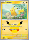 Image de la carte Pikachu 046/128