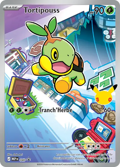 Image de la carte Pokemon Tortipouss 040/