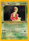 Image de la carte Meganium 11/111