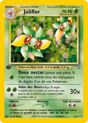 Joliflor 3/111