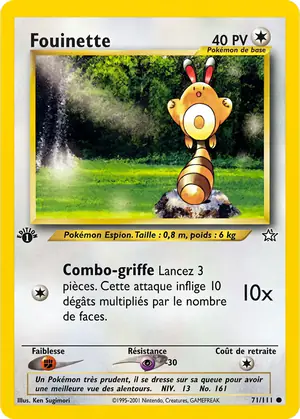 Fouinette 71/111