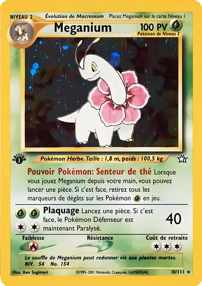 Image de la carte Pokemon Meganium 10/111