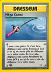 Image de la carte Méga Canne 103/111