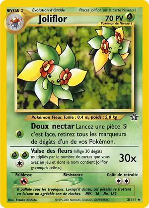 Joliflor 3/111