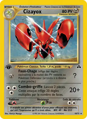 Cizayox 10/75