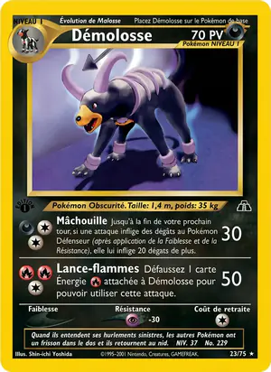 D&eacute;molosse 23/75