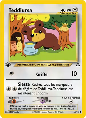 Teddiursa 65/75