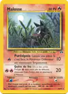 Image de la carte Malosse 24/75
