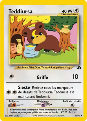 Teddiursa 65/75