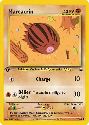 Marcacrin 57/64