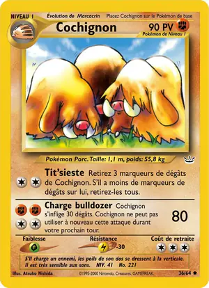 Cochignon 36/64