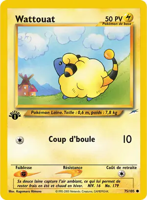 Wattouat 75/105