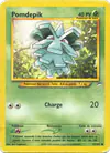 Image de la carte Pomdepik 77/105