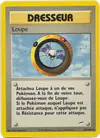 Image de la carte Loupe 101/105